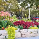 banner-twinleaf-garden-design