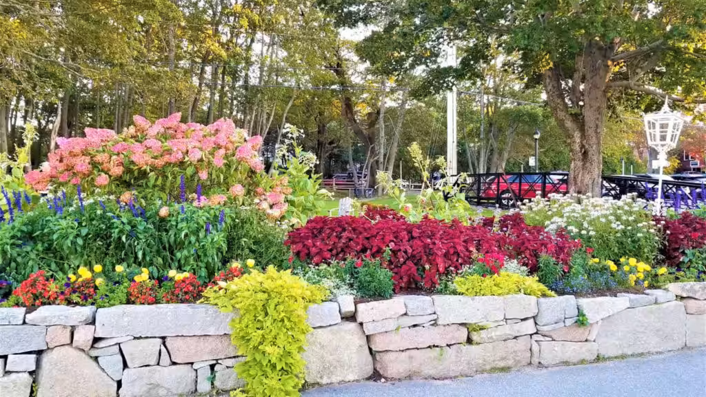 landscaping
