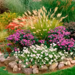 native-plants